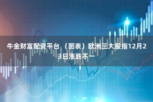 牛金财富配资平台 （图表）欧洲三大股指12月23日涨跌不一
