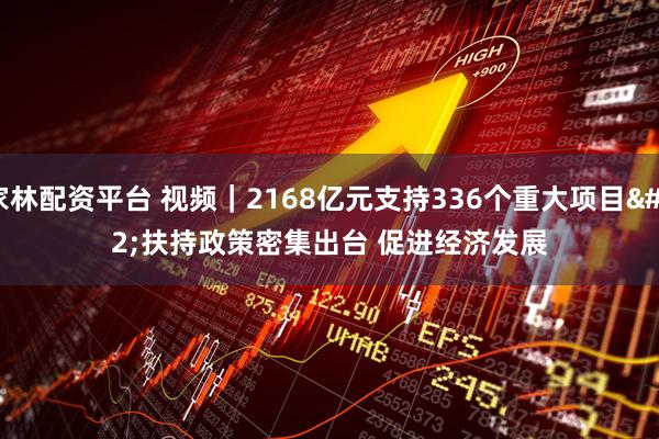 家林配资平台 视频｜2168亿元支持336个重大项目 扶持政策密集出台 促进经济发展
