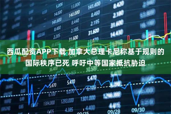 西瓜配资APP下载 加拿大总理卡尼称基于规则的国际秩序已死 呼吁中等国家抵抗胁迫